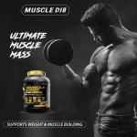 Mass Gainer Chocolate - 3Kg